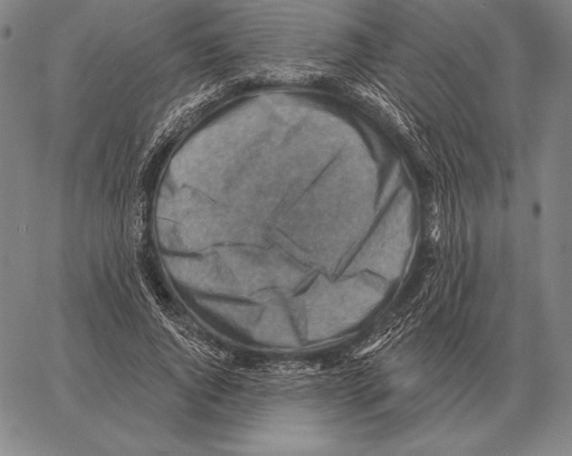 X0000066950736200604211814