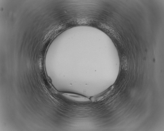 X0000066950740200604211814