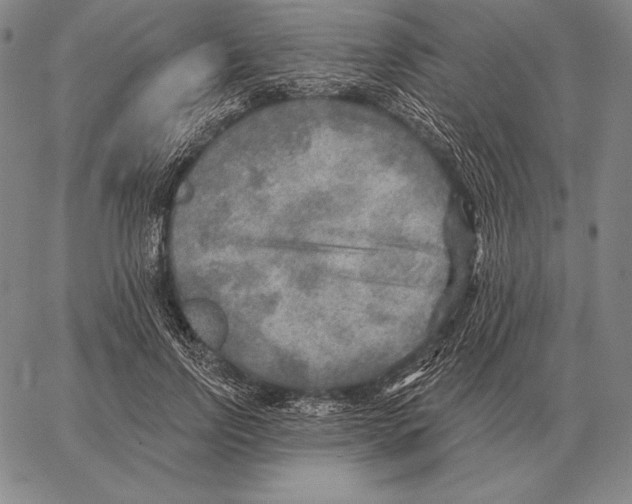 X0000066950742200604211815