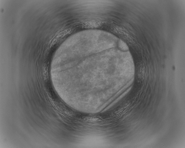 X0000066950743200604211815