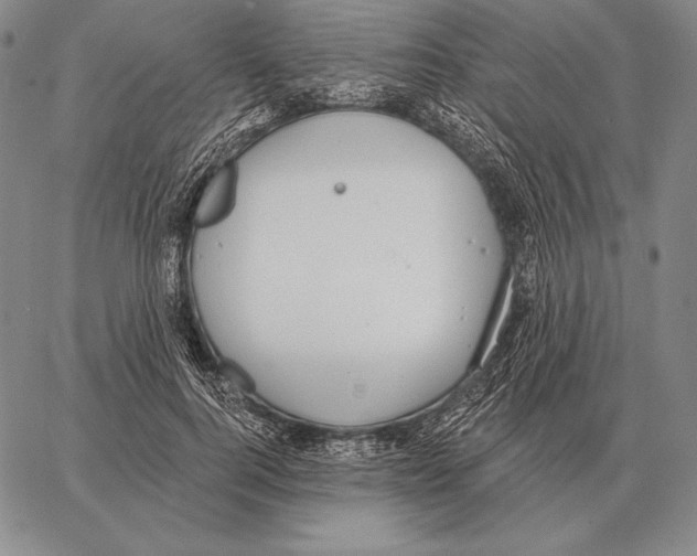 X0000066950744200604211815