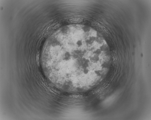 X0000066950745200604211815