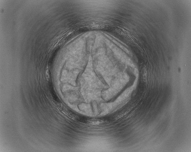 X0000066950746200604211815