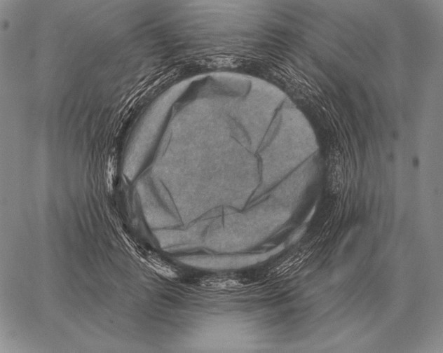 X0000066950747200604211815