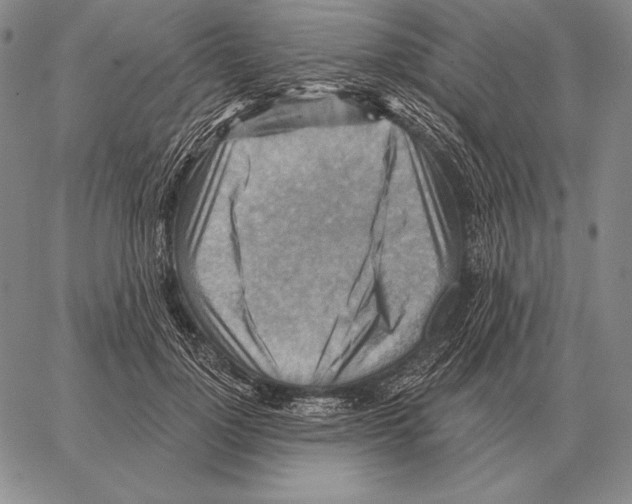 X0000066950748200604211815