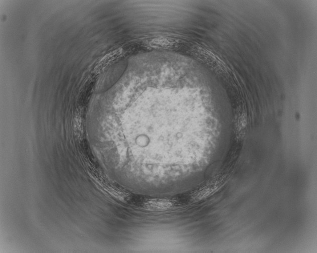 X0000066950749200604211815