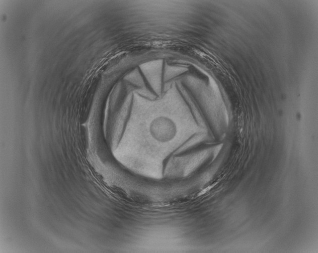 X0000066950750200604211815