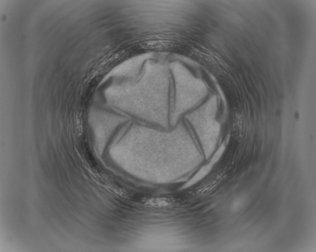 X0000066950751200604211815