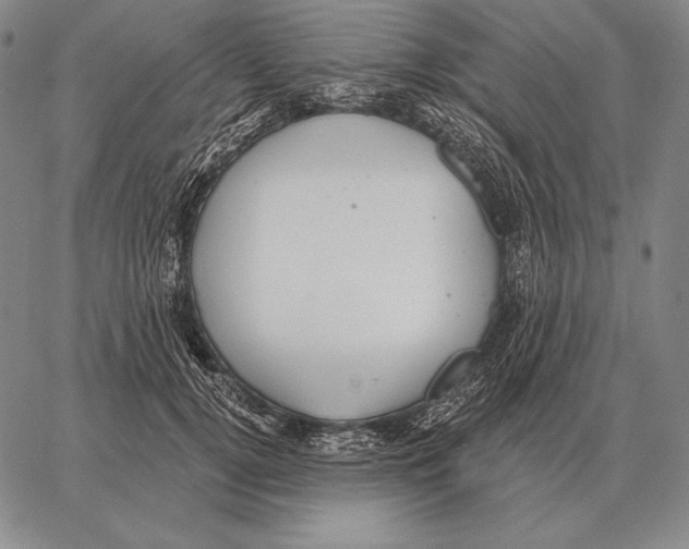 X0000066950752200604211815