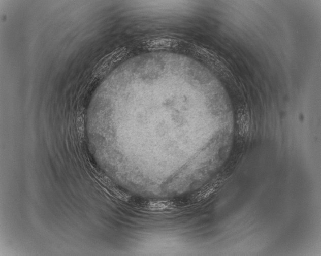 X0000066950753200604211815