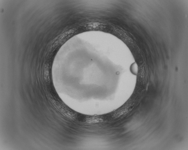 X0000066950754200604211815