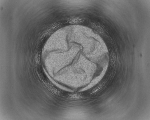 X0000066950755200604211815