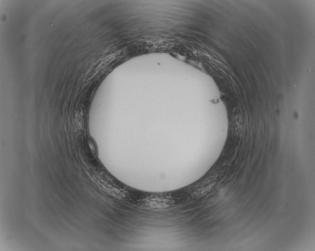 X0000066950756200604211815