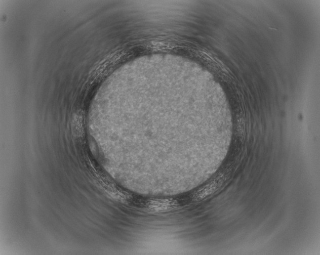 X0000066950757200604211815