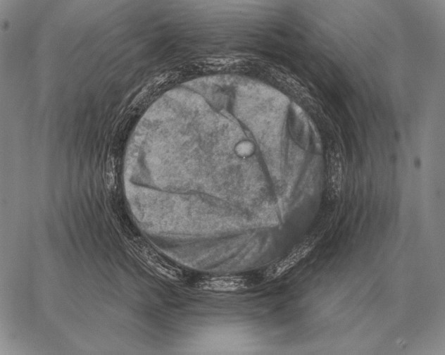 X0000066950758200604211815