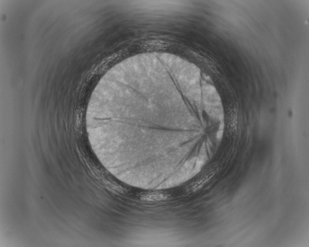 X0000066950759200604211815