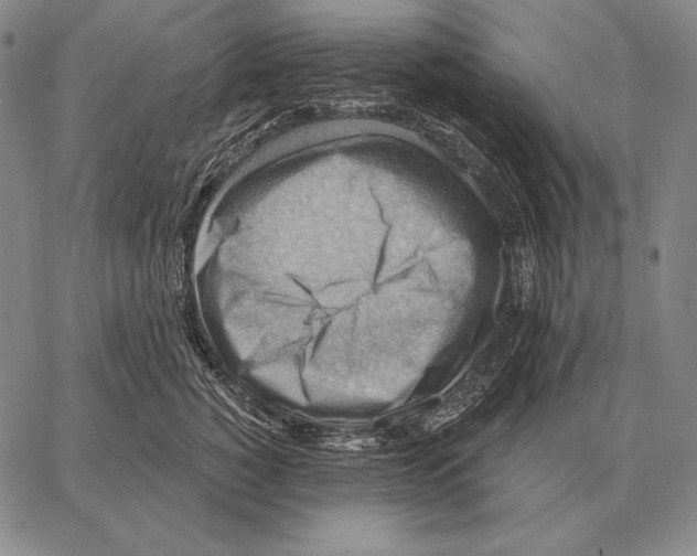 X0000066950760200604211815