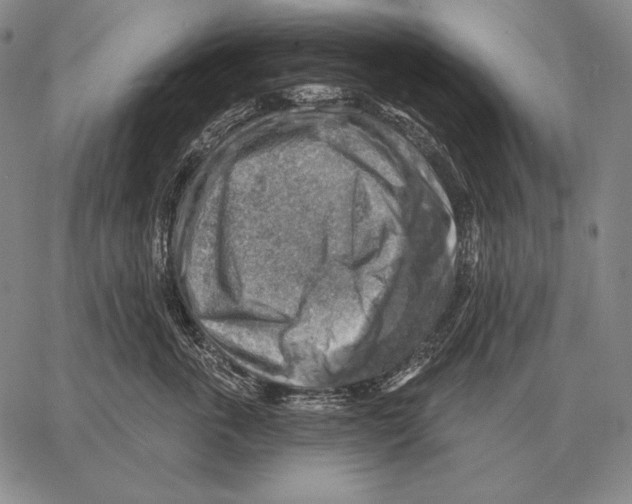 X0000066950763200604211815