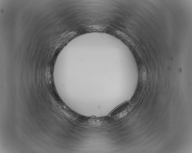 X0000066950764200604211815