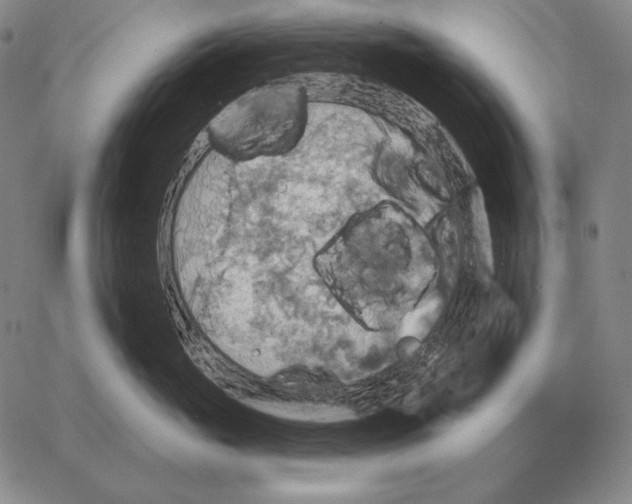 X0000066950765200604211815