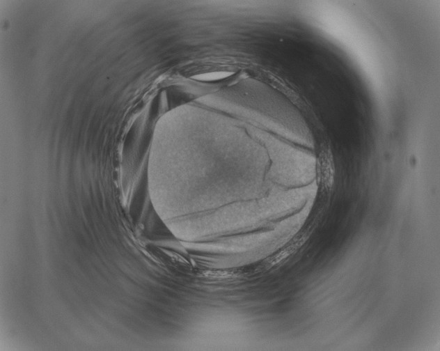 X0000066950766200604211815