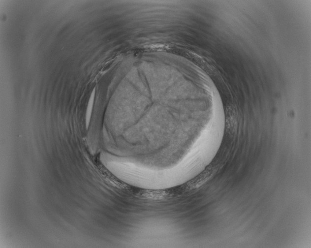 X0000066950767200604211815