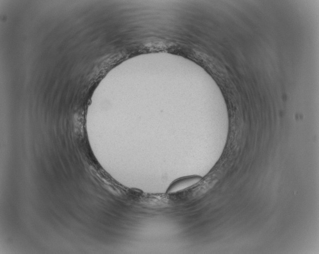 X0000066950768200604211815