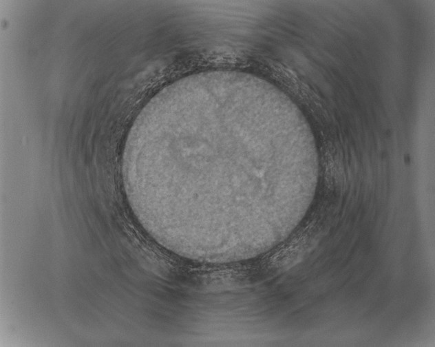 X0000066950769200604211814