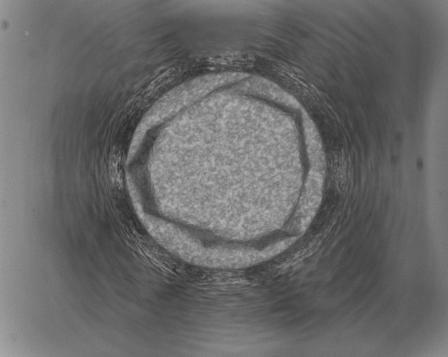 X0000066950770200604211814