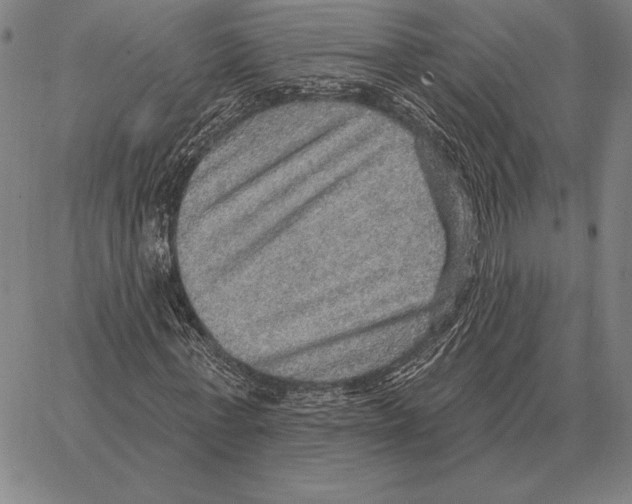 X0000066950771200604211814