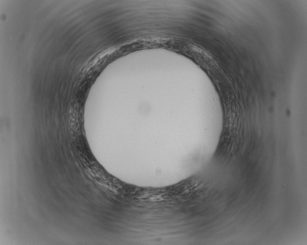 X0000066950773200604211814