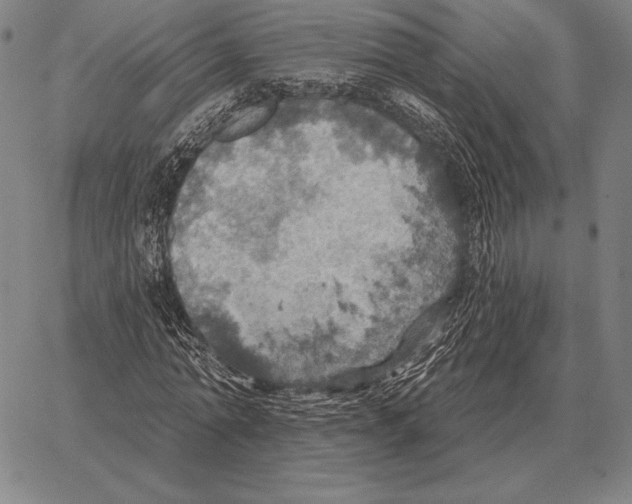 X0000066950774200604211814