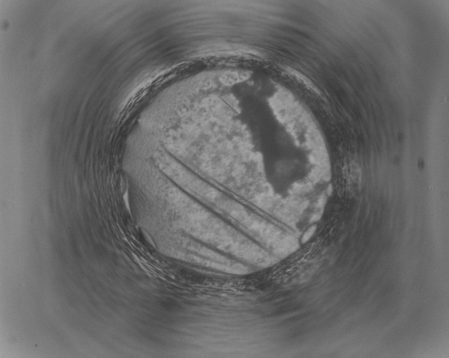 X0000066950775200604211814