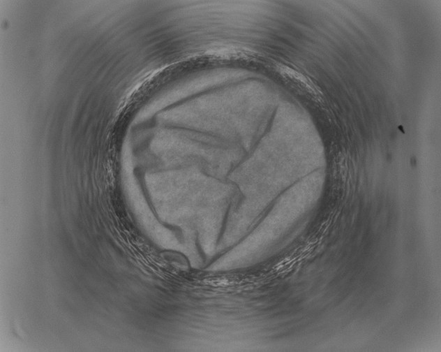 X0000066950776200604211814