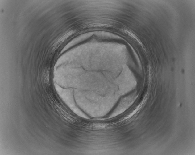 X0000066950777200604211814