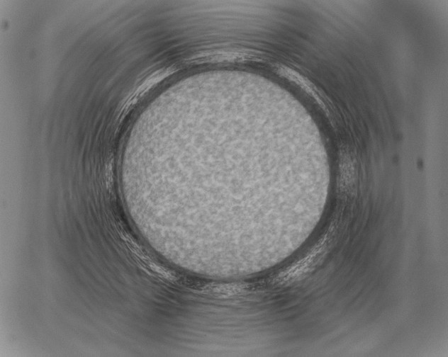 X0000066950778200604211814