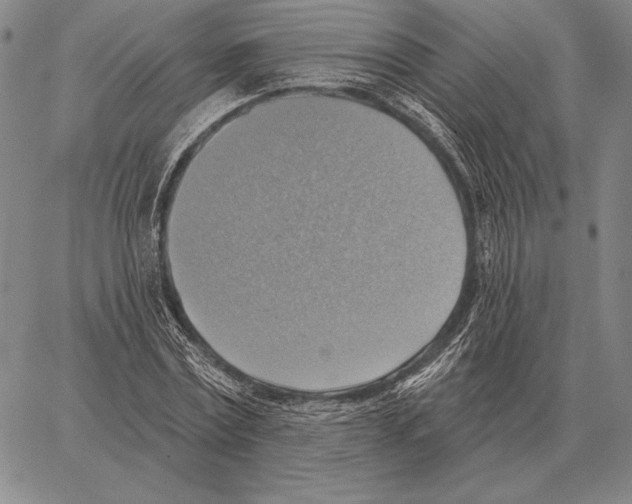 X0000066950779200604211814