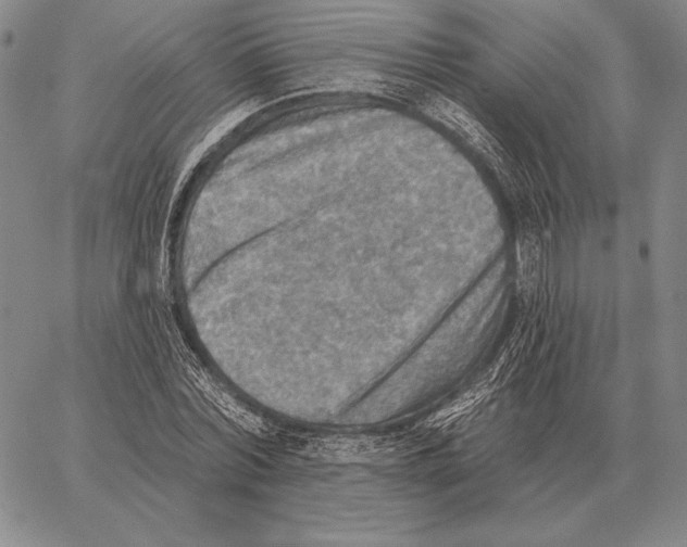 X0000066950780200604211814