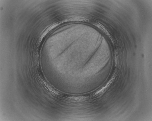 X0000066950781200604211814