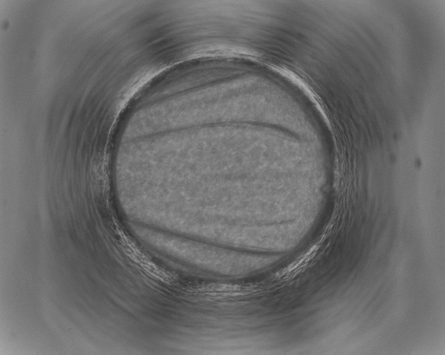 X0000066950783200604211814