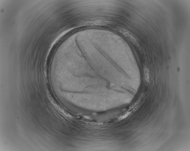 X0000066950784200604211814