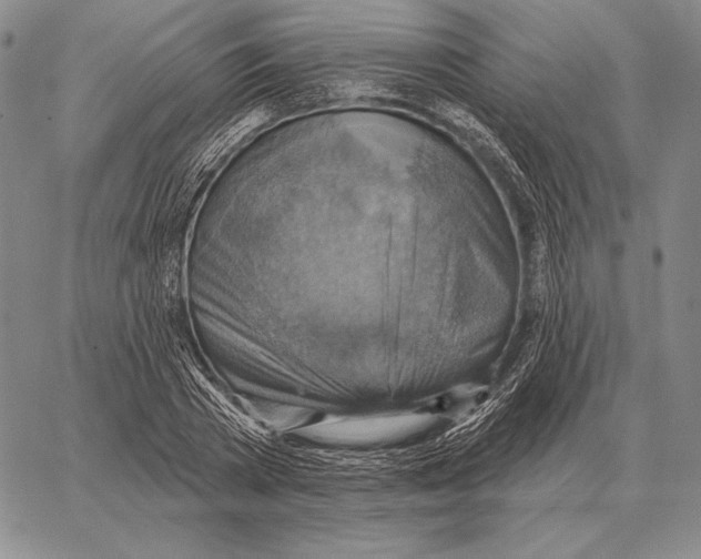 X0000066950785200604211814