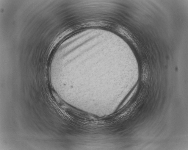 X0000066950786200604211814