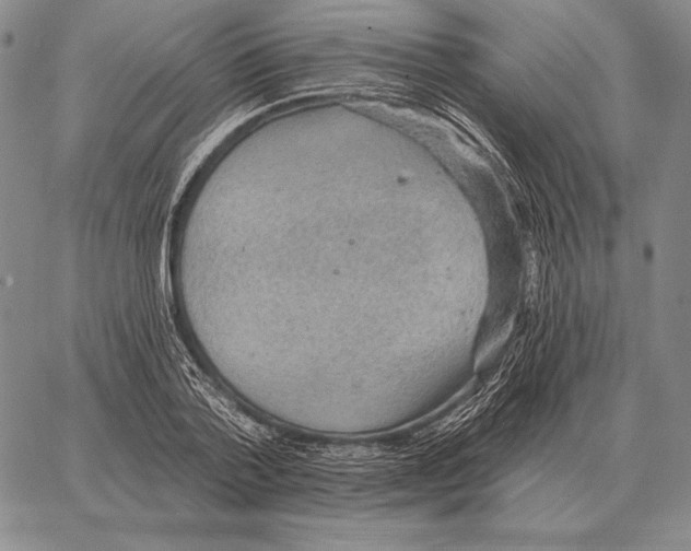 X0000066950788200604211814