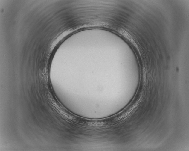 X0000066950789200604211814