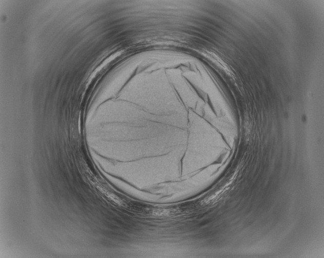 X0000066950790200604211814