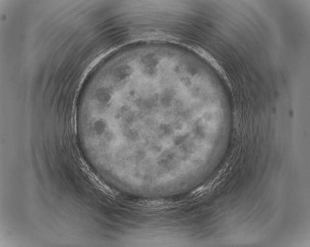 X0000066950791200604211814