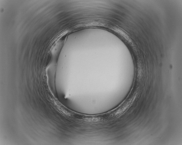 X0000066950793200604211814