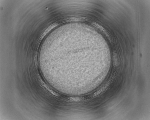 X0000066950794200604211814