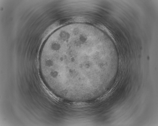 X0000066950795200604211814